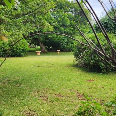 Lovely 3 Bed In Mount Pleasant - 2153 هراري المظهر الخارجي الصورة