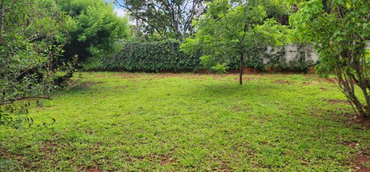 Lovely 3 Bed In Mount Pleasant - 2153 هراري المظهر الخارجي الصورة